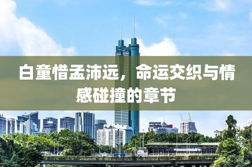 白童惜孟沛远，命运交织与情感碰撞的章节