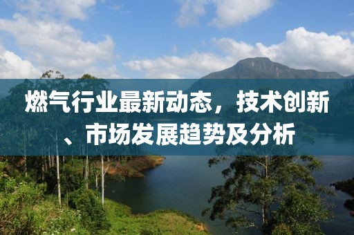 燃气行业最新动态，技术创新、市场发展趋势及分析