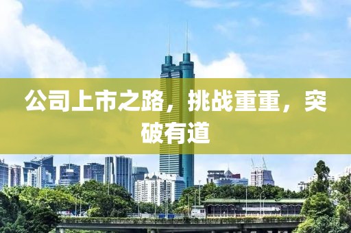 公司上市之路，挑战重重，突破有道