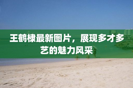 王鹤棣最新图片，展现多才多艺的魅力风采