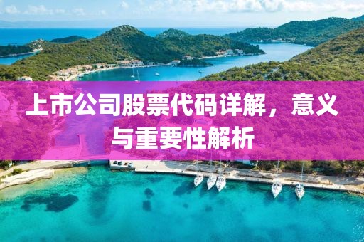 上市公司股票代码详解，意义与重要性解析