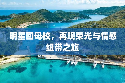 明星回母校，再现荣光与情感纽带之旅