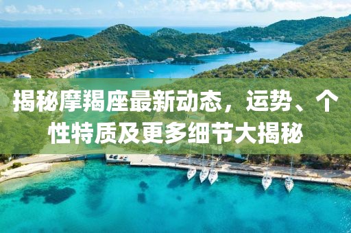 揭秘摩羯座最新动态，运势、个性特质及更多细节大揭秘