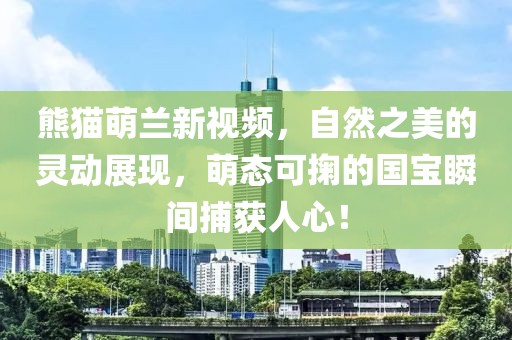 熊猫萌兰新视频，自然之美的灵动展现，萌态可掬的国宝瞬间捕获人心！
