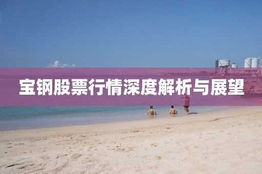 宝钢股票行情深度解析与展望