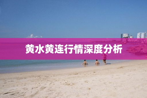 黄水黄连行情深度分析
