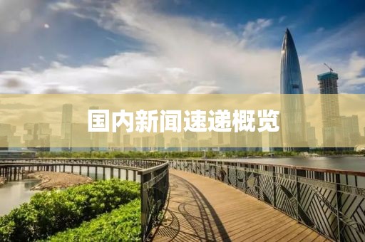 国内新闻速递概览