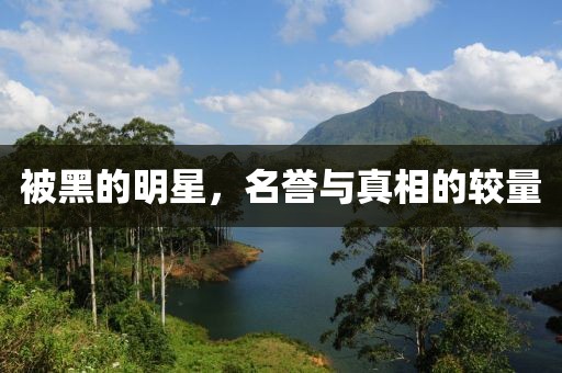 被黑的明星，名誉与真相的较量