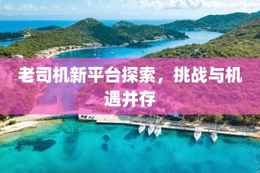 老司机新平台探索，挑战与机遇并存