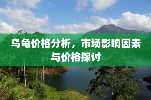 乌龟价格分析，市场影响因素与价格探讨