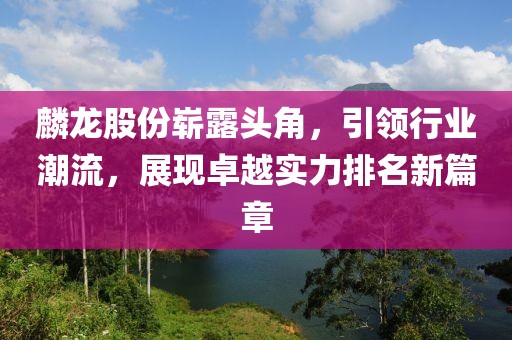 麟龙股份崭露头角，引领行业潮流，展现卓越实力排名新篇章