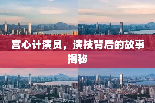 宫心计演员，演技背后的故事揭秘