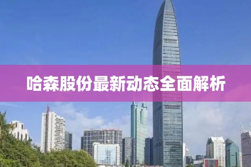 哈森股份最新动态全面解析