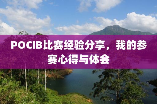 POCIB比赛经验分享，我的参赛心得与体会