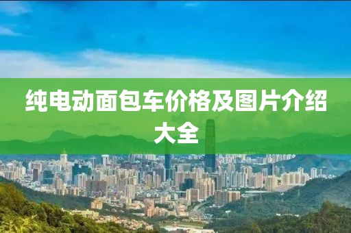 纯电动面包车价格及图片介绍大全