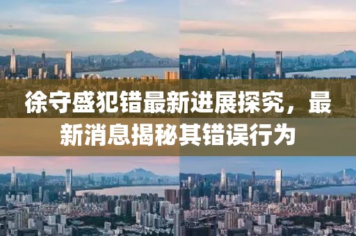 徐守盛犯错最新进展探究，最新消息揭秘其错误行为