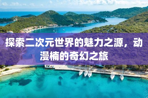 探索二次元世界的魅力之源，动漫楠的奇幻之旅