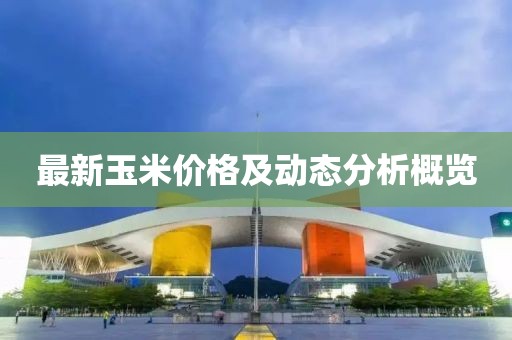 最新玉米价格及动态分析概览