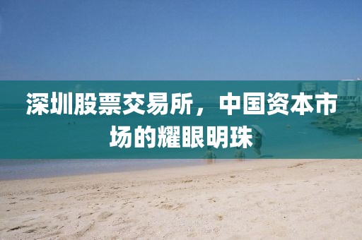 深圳股票交易所，中国资本市场的耀眼明珠