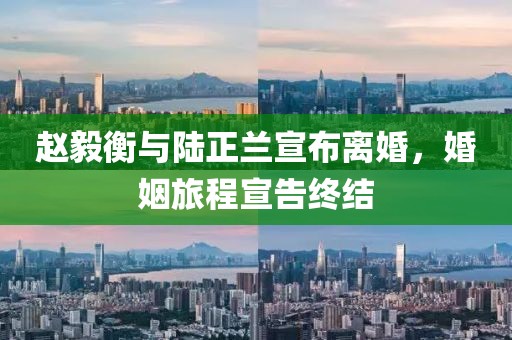 赵毅衡与陆正兰宣布离婚，婚姻旅程宣告终结