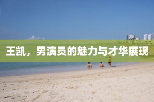 王凯，男演员的魅力与才华展现