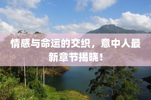 情感与命运的交织，意中人最新章节揭晓！