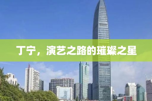 丁宁，演艺之路的璀璨之星