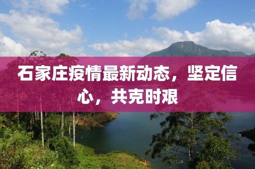 石家庄疫情最新动态，坚定信心，共克时艰