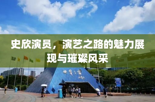 史欣演员，演艺之路的魅力展现与璀璨风采