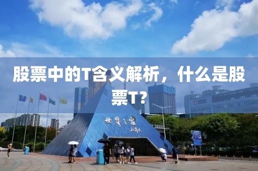 股票中的T含义解析，什么是股票T？