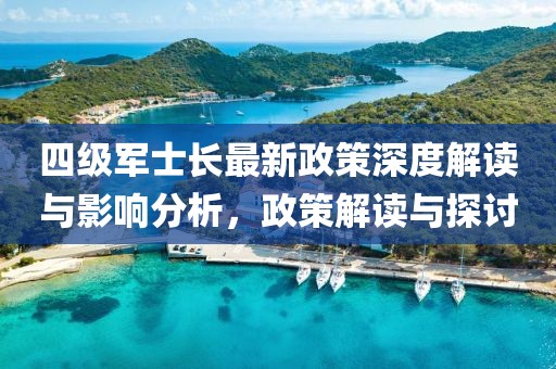 四级军士长最新政策深度解读与影响分析，政策解读与探讨