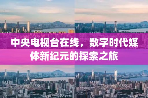中央电视台在线，数字时代媒体新纪元的探索之旅