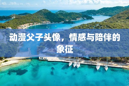 动漫父子头像，情感与陪伴的象征