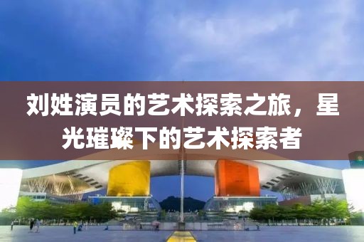 刘姓演员的艺术探索之旅，星光璀璨下的艺术探索者