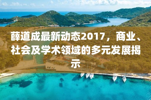 薛道成最新动态2017，商业、社会及学术领域的多元发展揭示