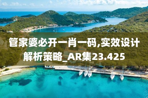 管家婆必开一肖一码,实效设计解析策略_AR集23.425