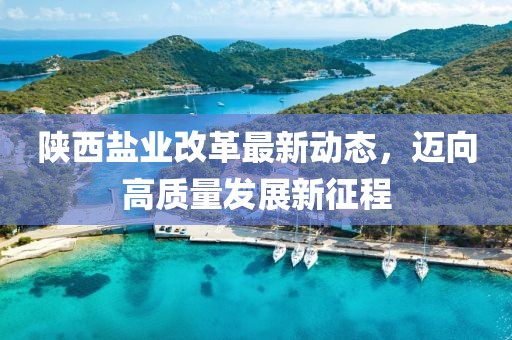 陕西盐业改革最新动态，迈向高质量发展新征程