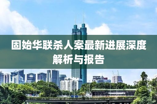 固始华联杀人案最新进展深度解析与报告