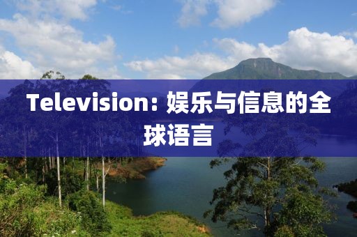 Television: 娱乐与信息的全球语言