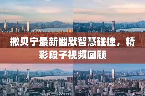 撒贝宁最新幽默智慧碰撞，精彩段子视频回顾