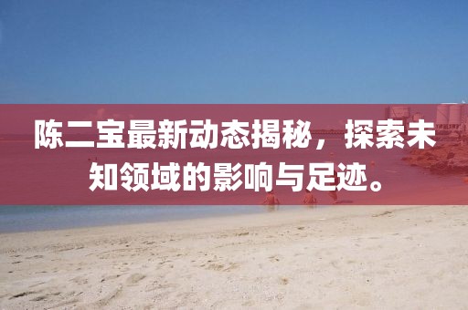 陈二宝最新动态揭秘，探索未知领域的影响与足迹。
