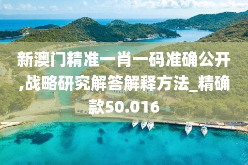 新澳门精准一肖一码准确公开,战略研究解答解释方法_精确款50.016
