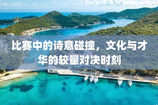 比赛中的诗意碰撞，文化与才华的较量对决时刻