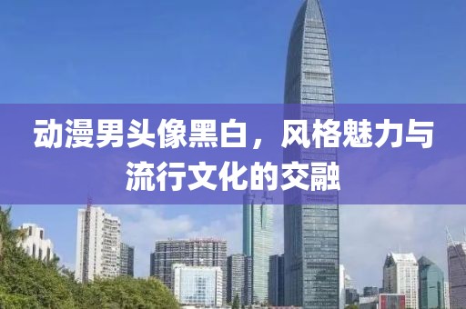 动漫男头像黑白，风格魅力与流行文化的交融