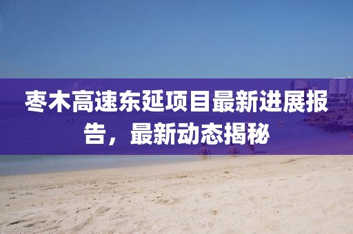 枣木高速东延项目最新进展报告，最新动态揭秘