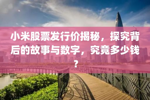 小米股票发行价揭秘，探究背后的故事与数字，究竟多少钱？