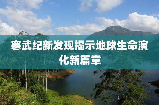 幕後杀手 第6页