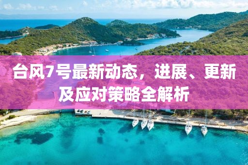 台风7号最新动态，进展、更新及应对策略全解析