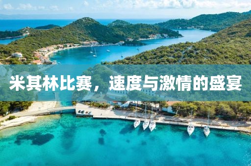 米其林比赛，速度与激情的盛宴