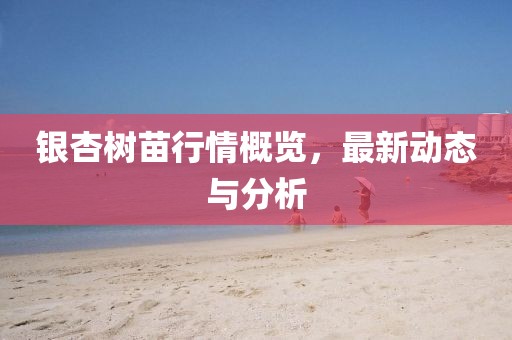 银杏树苗行情概览，最新动态与分析